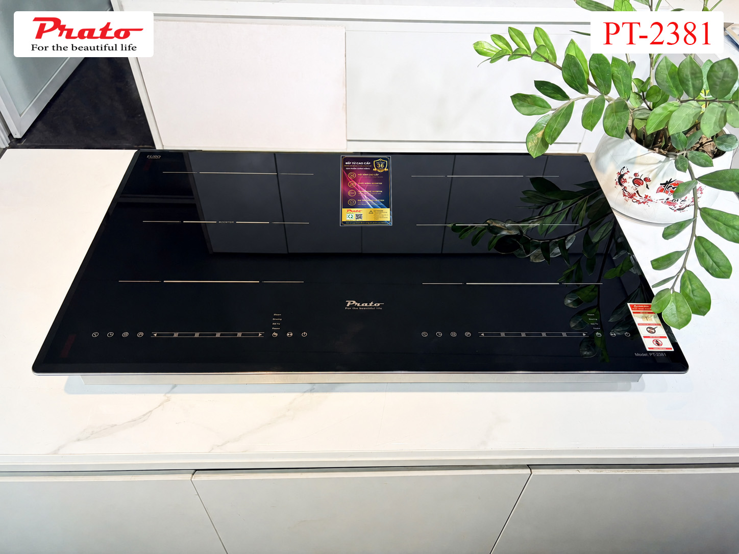 Bếp từ Model: PT-2381(2 Phiên bản mặt kính)